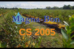 Video: Control Disease in Blueberries with CS 2005!